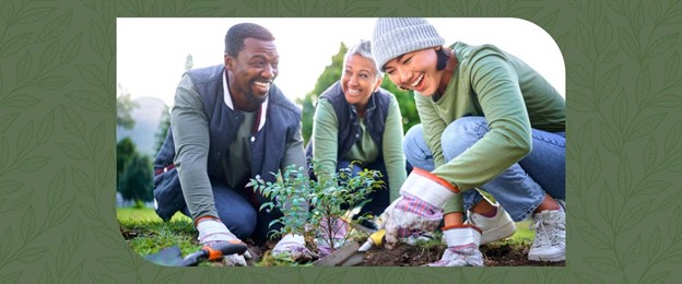 People planting a tree
